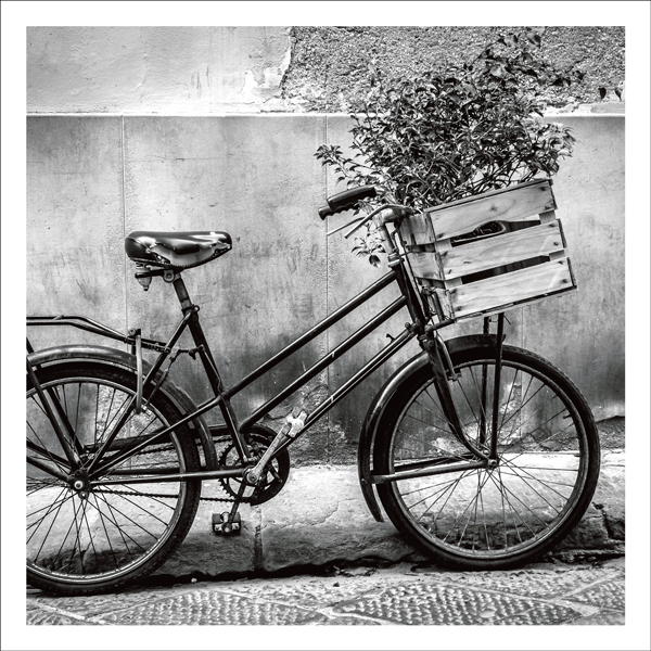 Bicycle with flowers Card