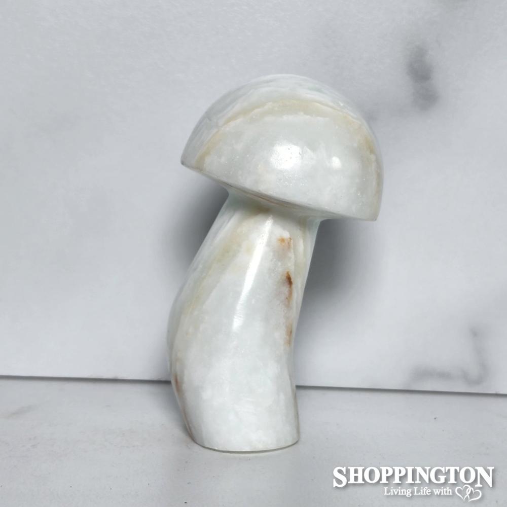 Carribean Calcite Stone Mushroom #2