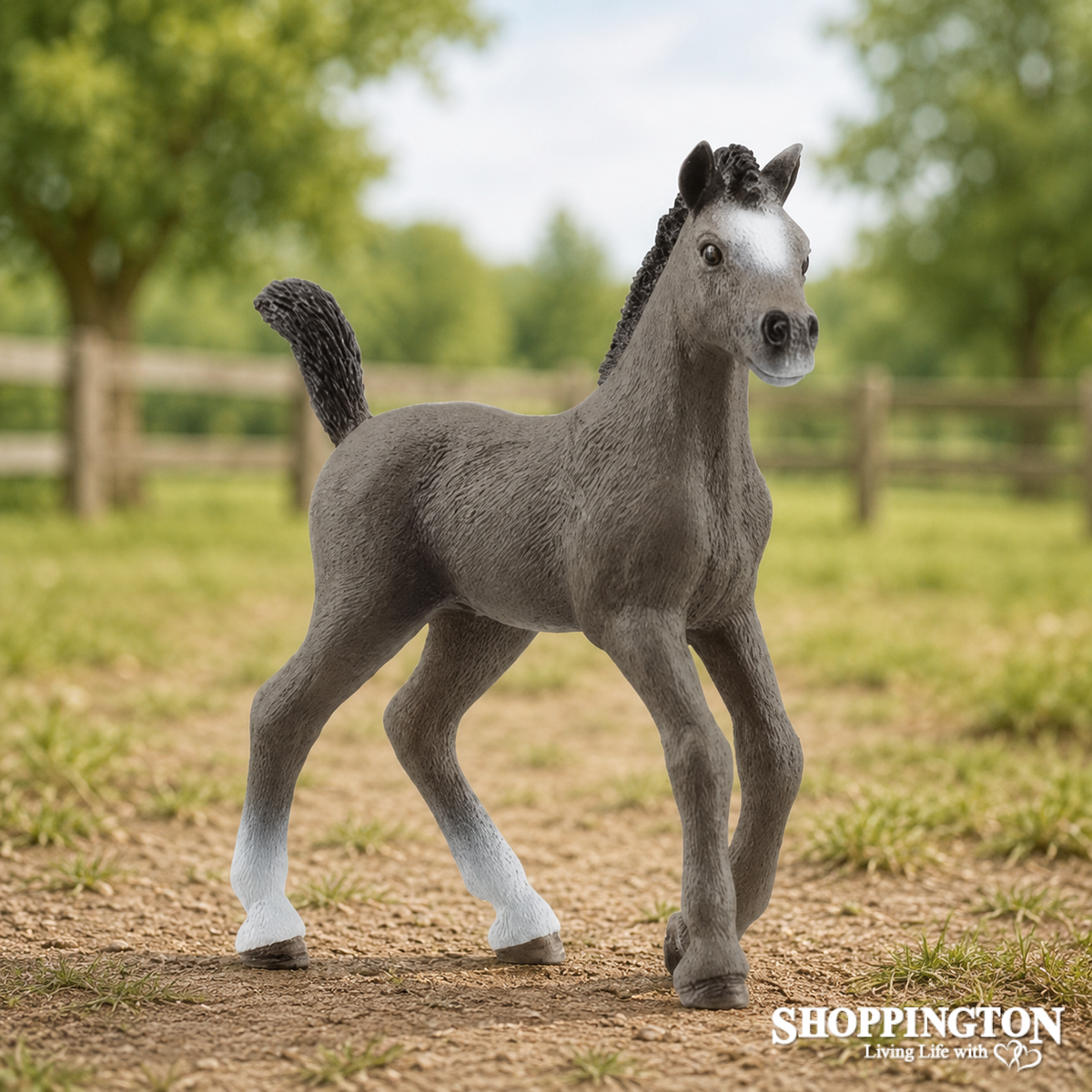 Schleich - Selle Francais Foal