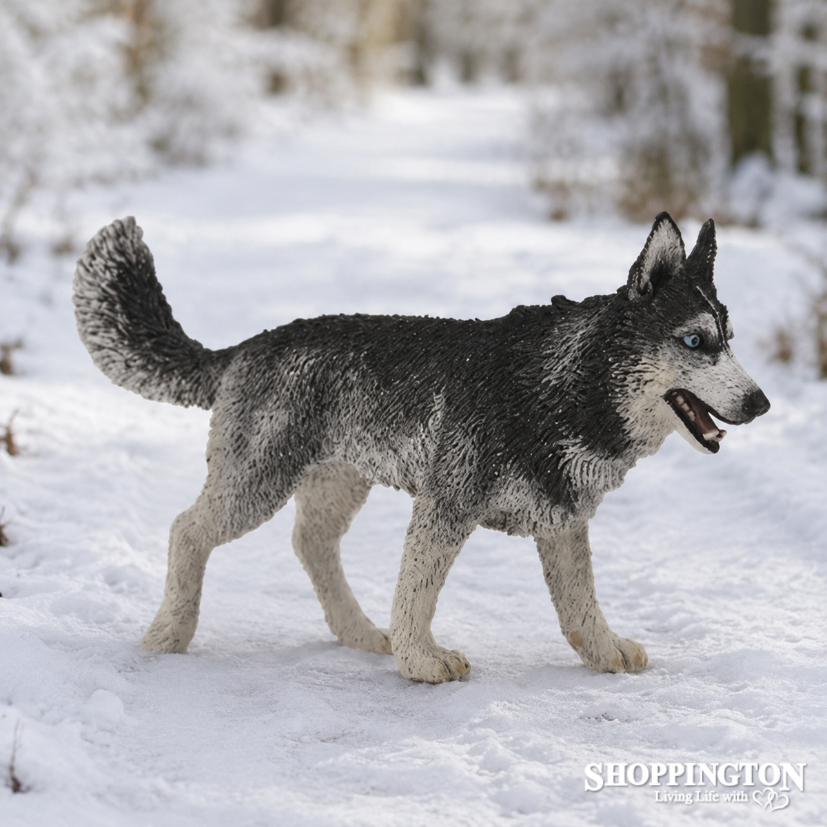 CollectA - Siberian Husky