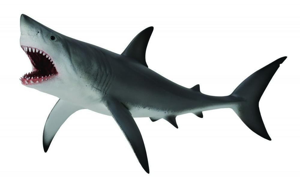 Collect A - Great White Shark