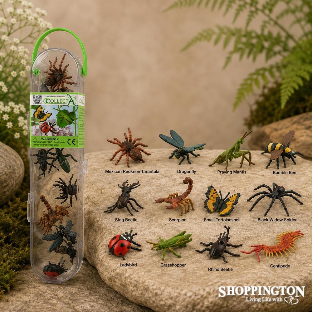 Collect A Mini Box - Spiders & Insects
