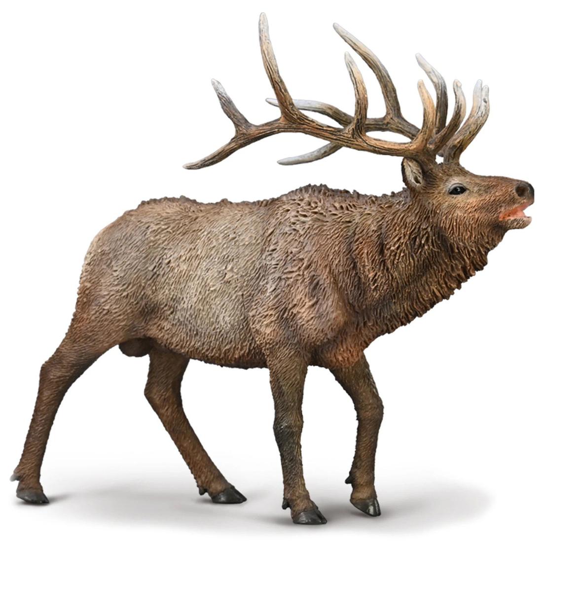 Collect A - Wapiti