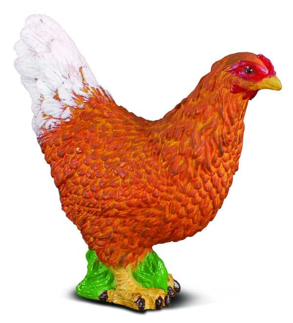 Collect A - Hen