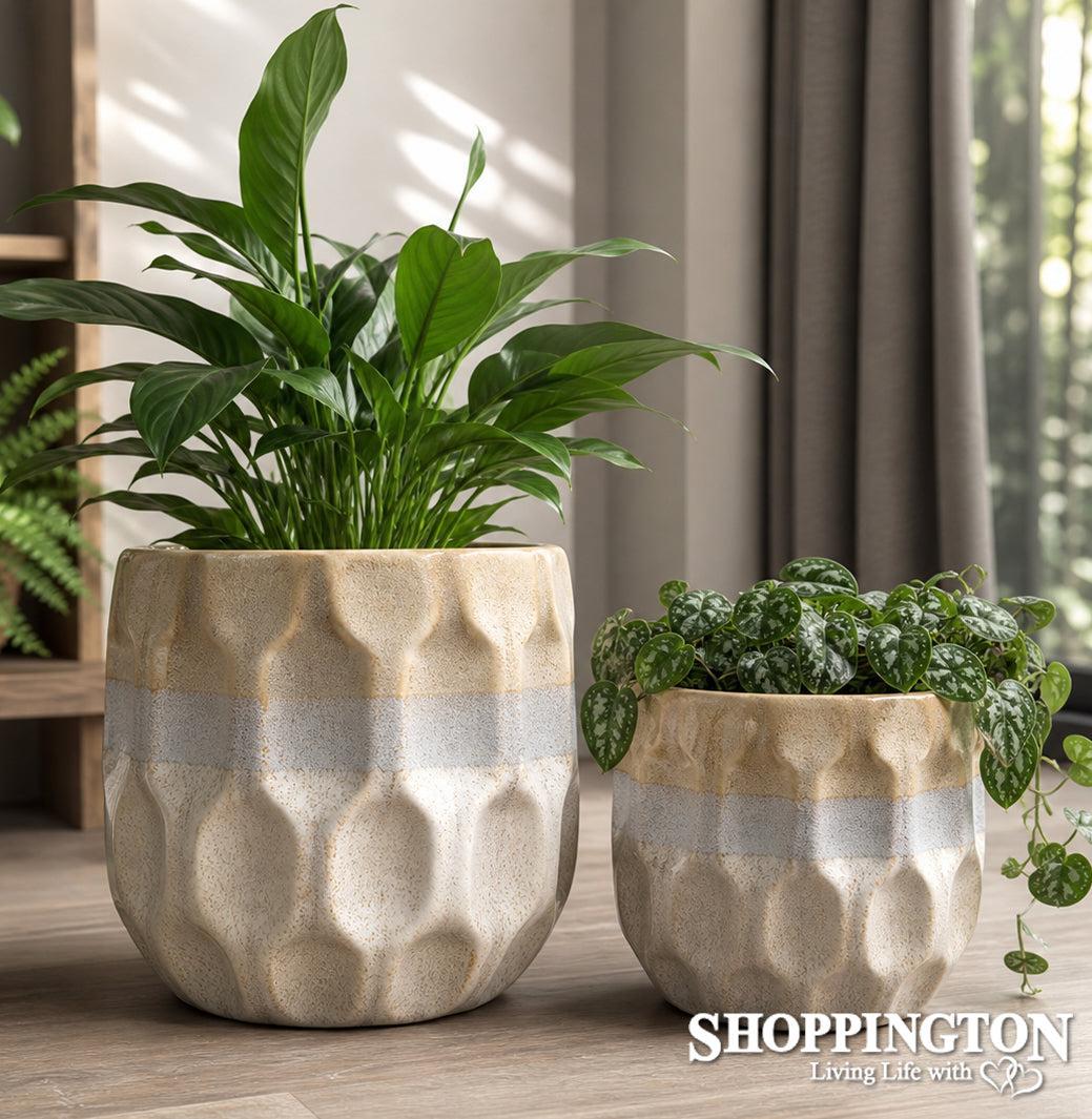 Desert Dune Planters