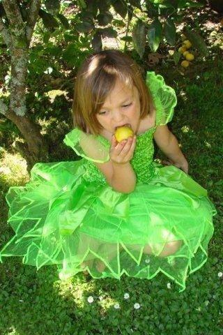 Fairy Dress-up / Lime Green Petal Dress