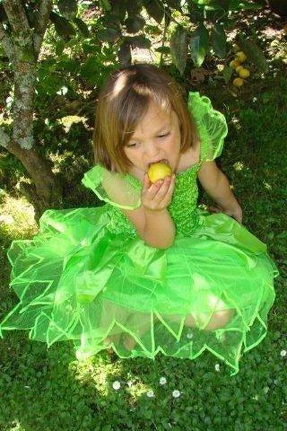 Fairy Dress-up / Lime Green Petal Dress