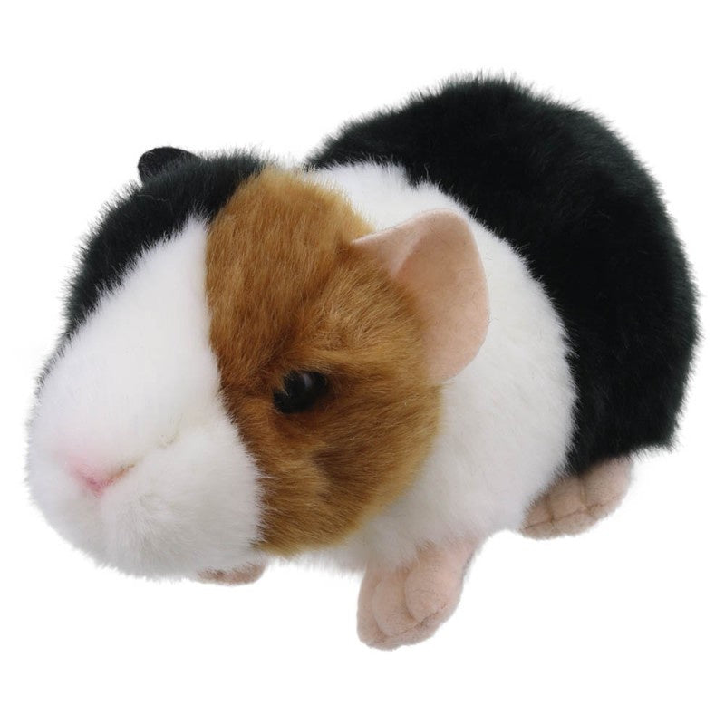 Wildberry Mini - Guinea Pig