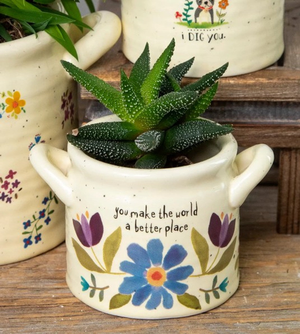 Crock Planter - World Better