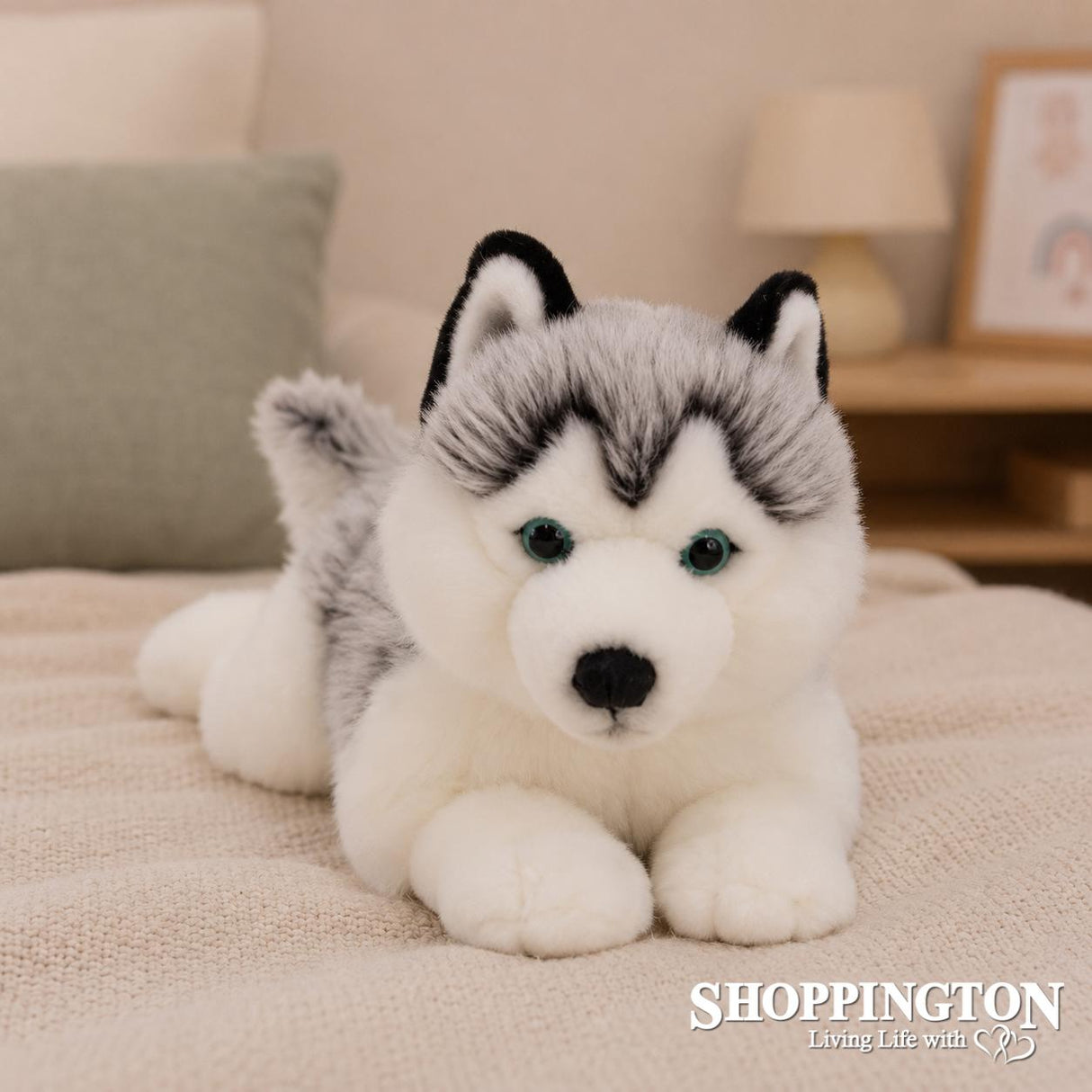 Handsome Husky