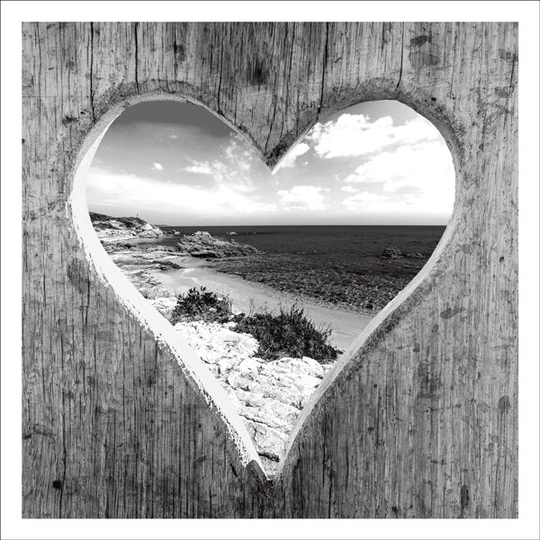 Heart hole in fence Card