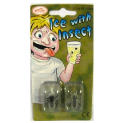 Ice With Insect