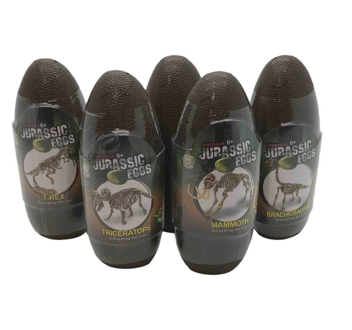 Jurassic Dinosaur Fossil Egg