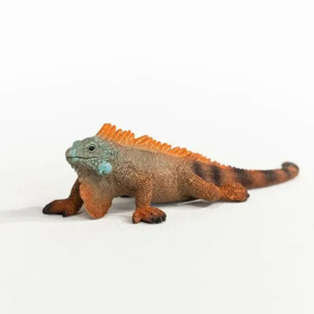 Schleich -Iguana