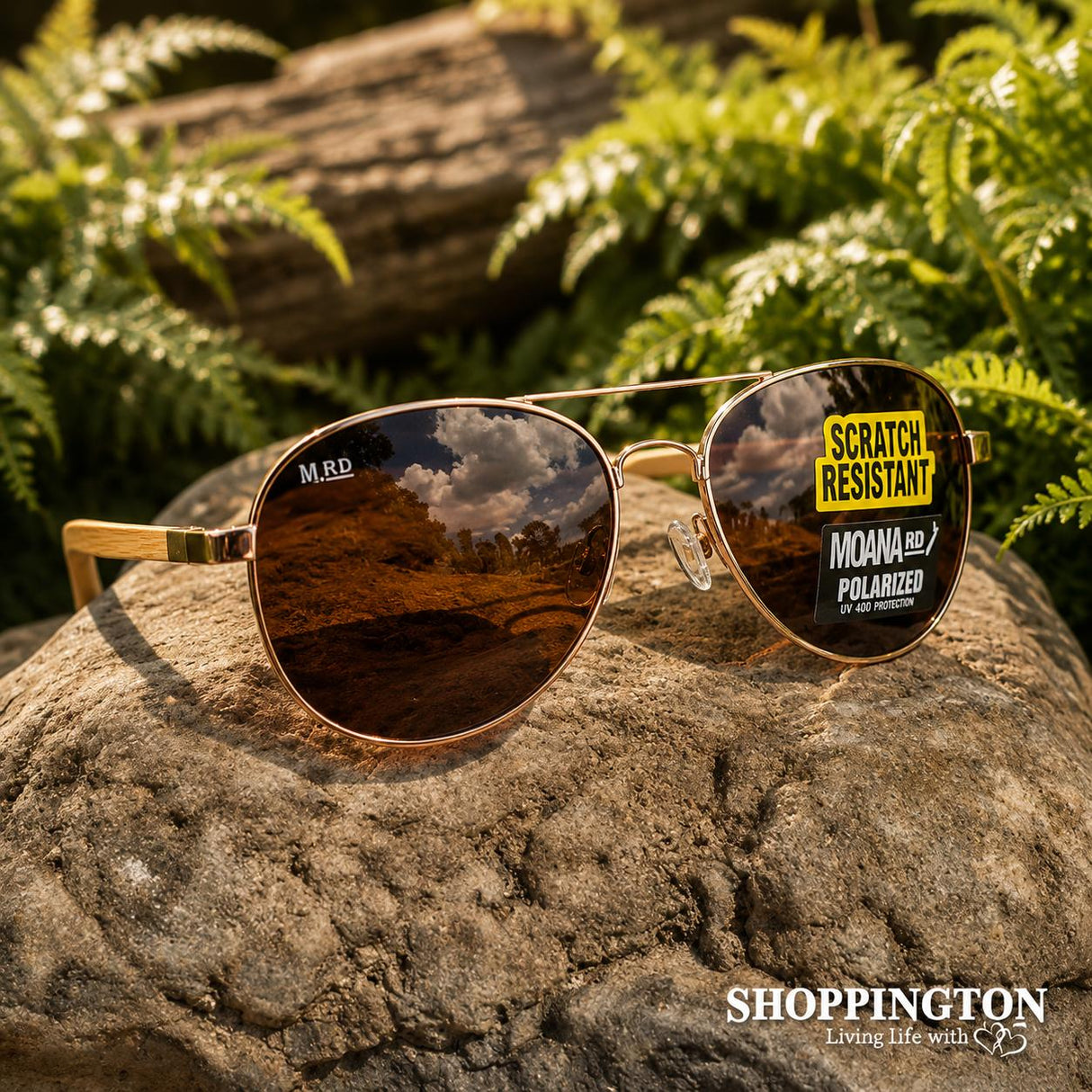 Moana Road Sunglasses - Aviator Maverick