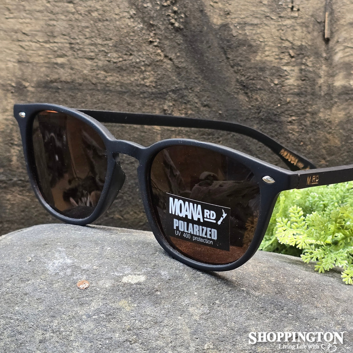 Moana Road Sunglasses - Debbie Reynolds Black