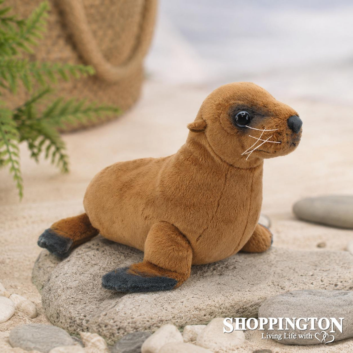 NZ Sea Lion with Sound