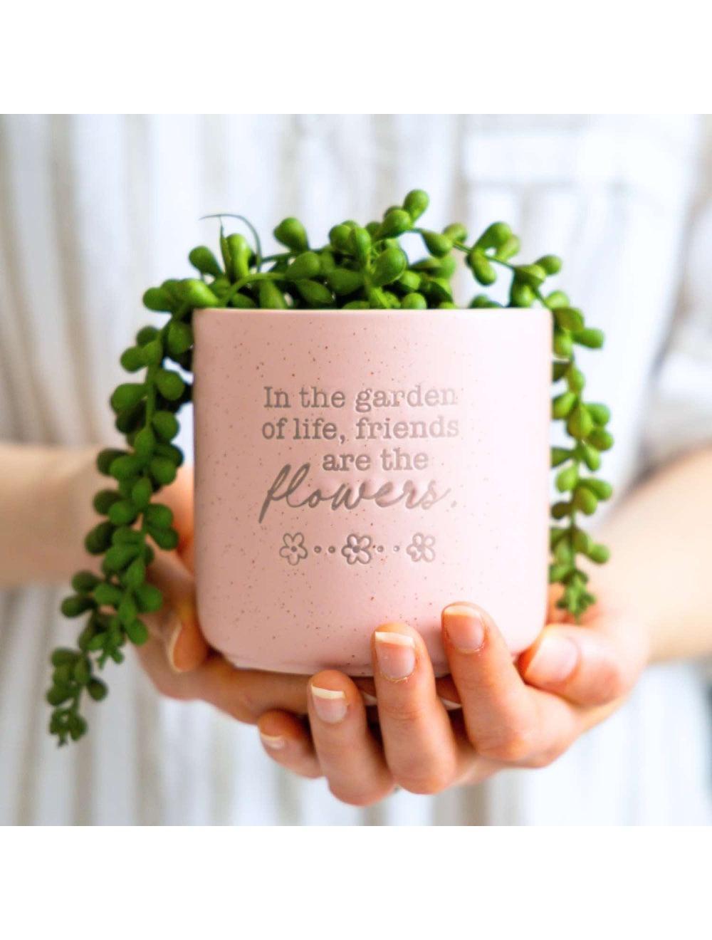 Positive Pots - Friend are Flowers