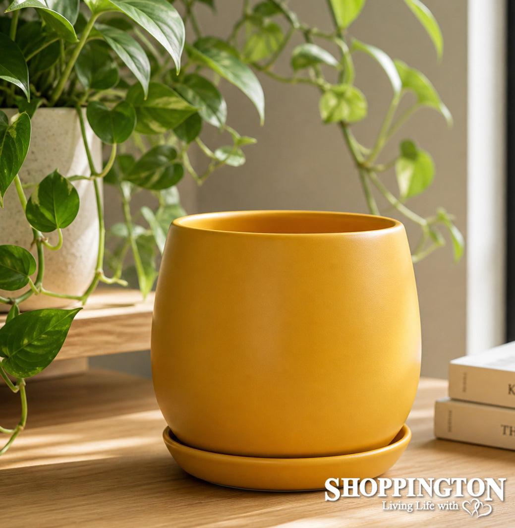 Pot Planter - Sunset Egg with Saucer