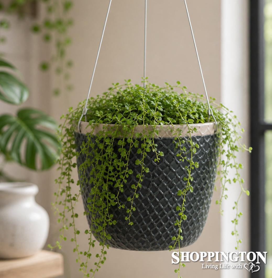 Pot Planter - Thimble Hanging Grey