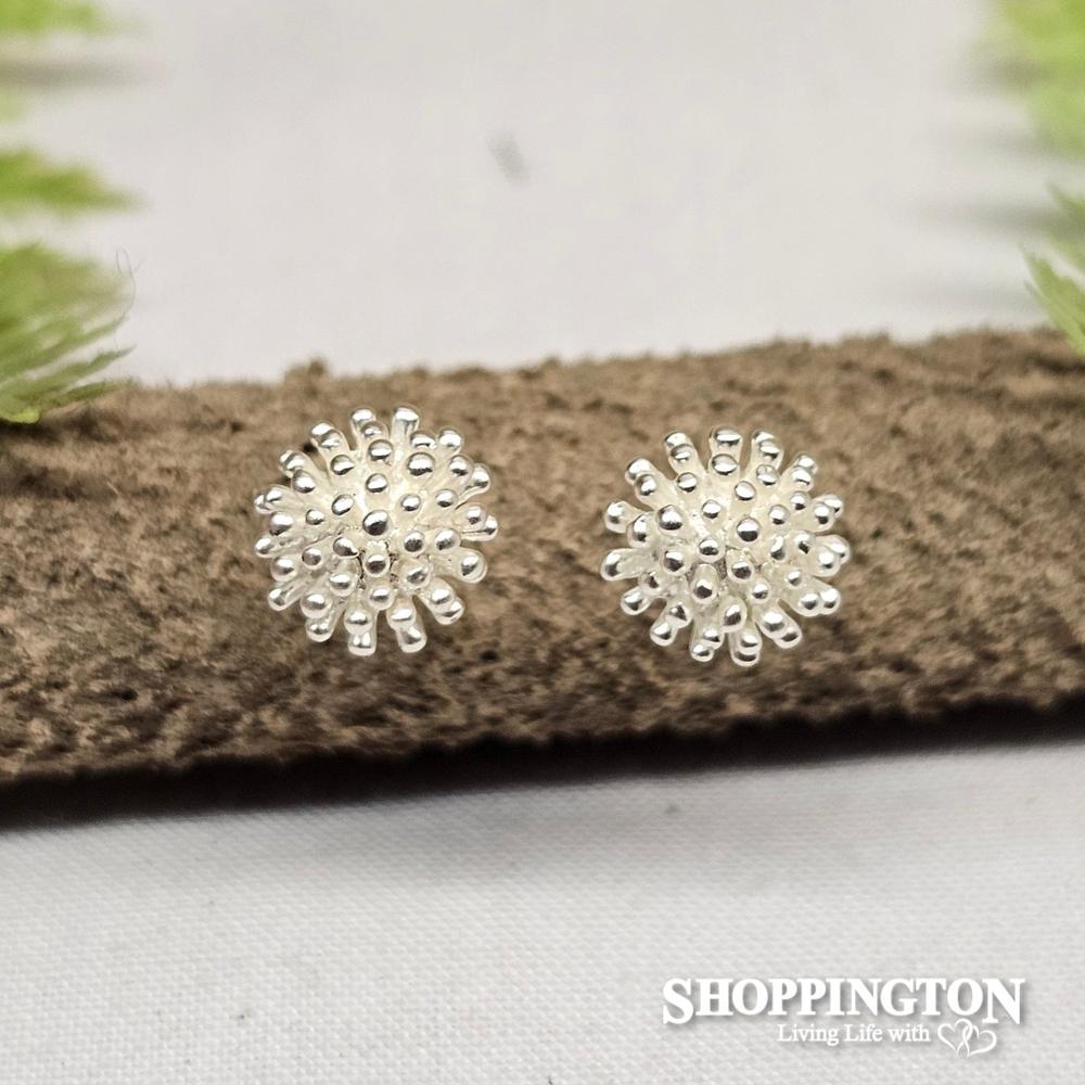 Silver Pohutukawa Studs