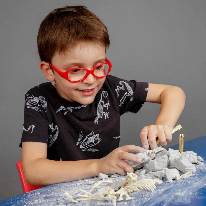 The Triceratops Fossil Paleontology Science Kit