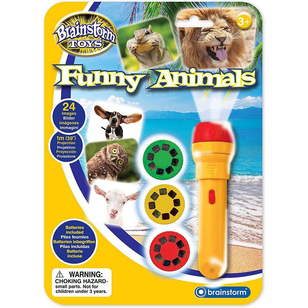 Torch and Projector / Funny Animals