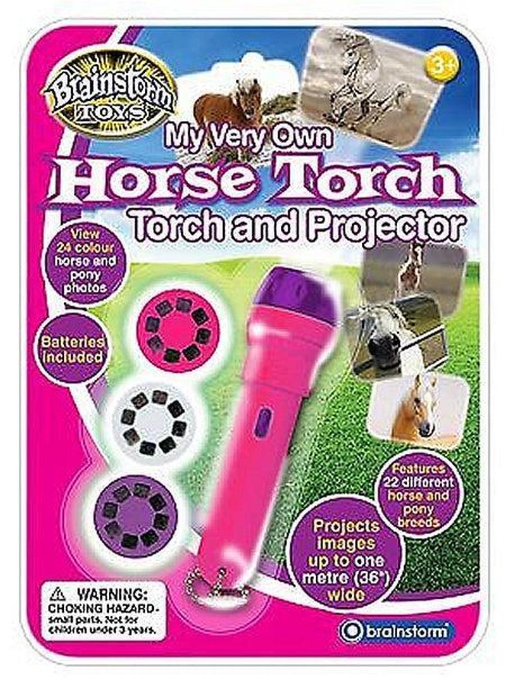 Torch and Projector / Horse