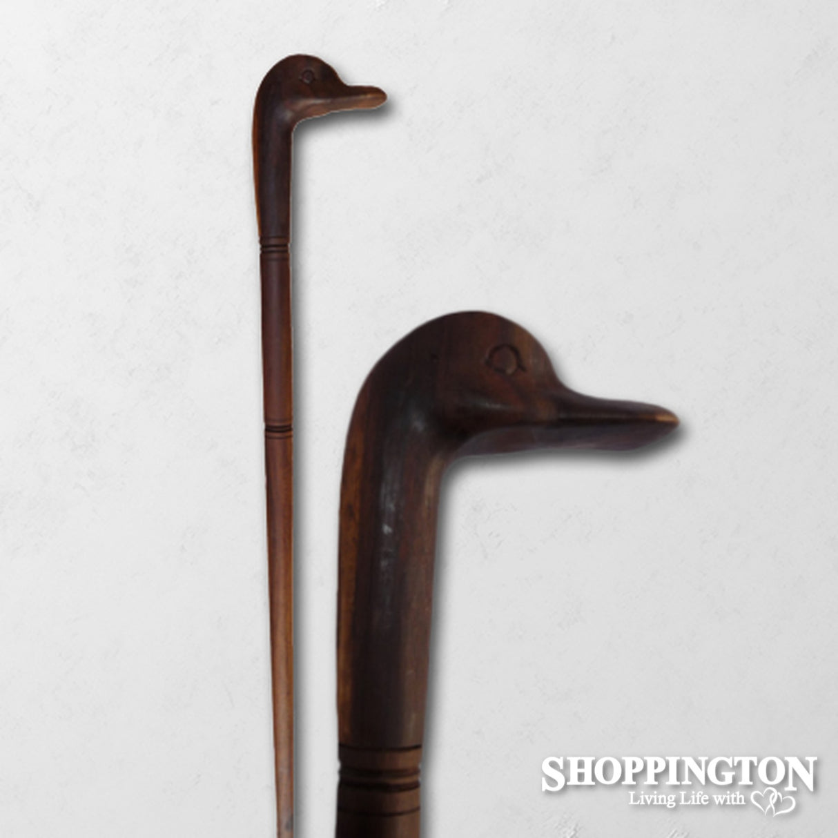 Walking Stick / Duck