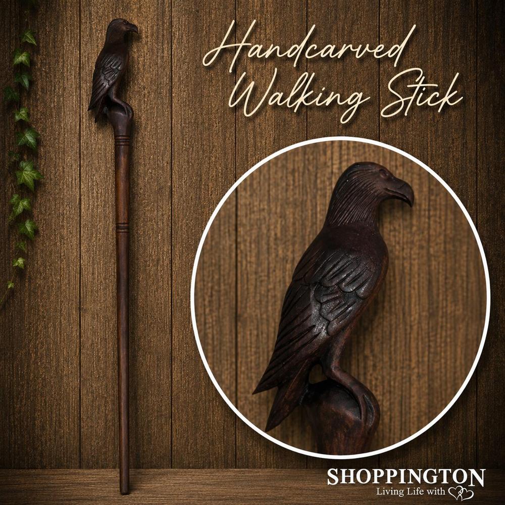 Walking Stick / Hawk