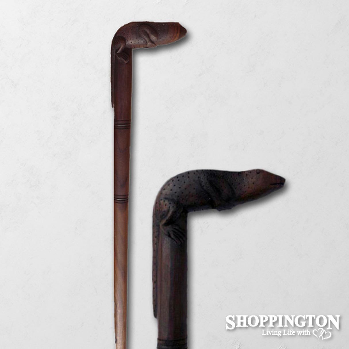 Walking Stick / Lizard