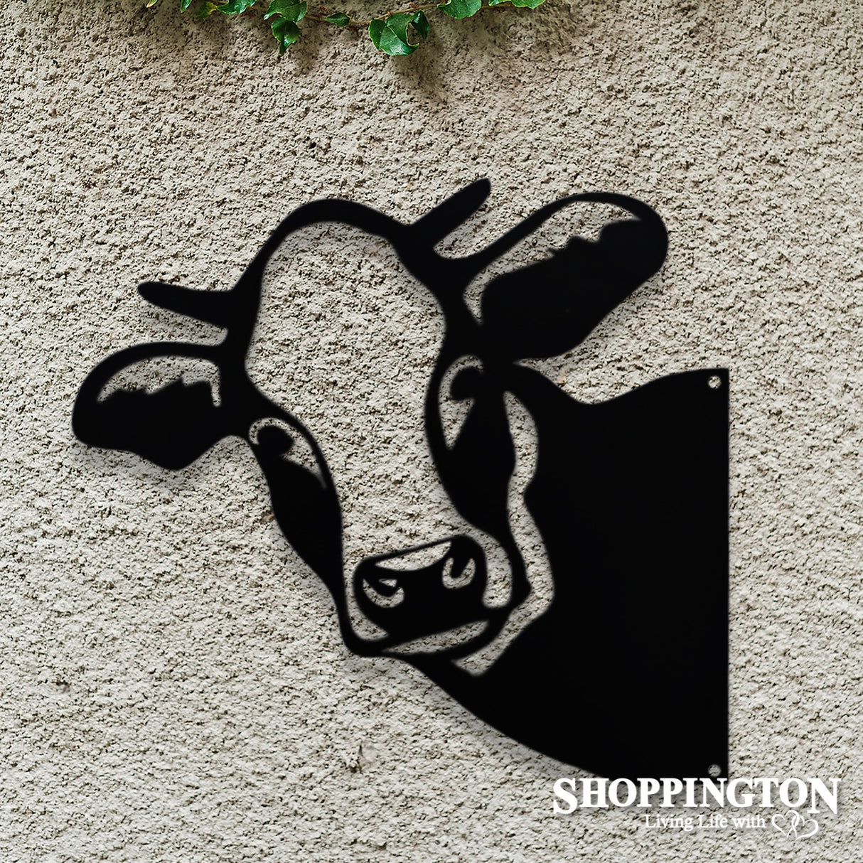 Wall Art - Cow