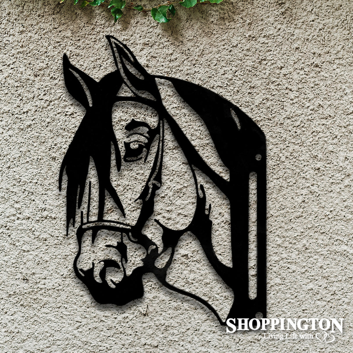 Wall Art - Peeping Horse