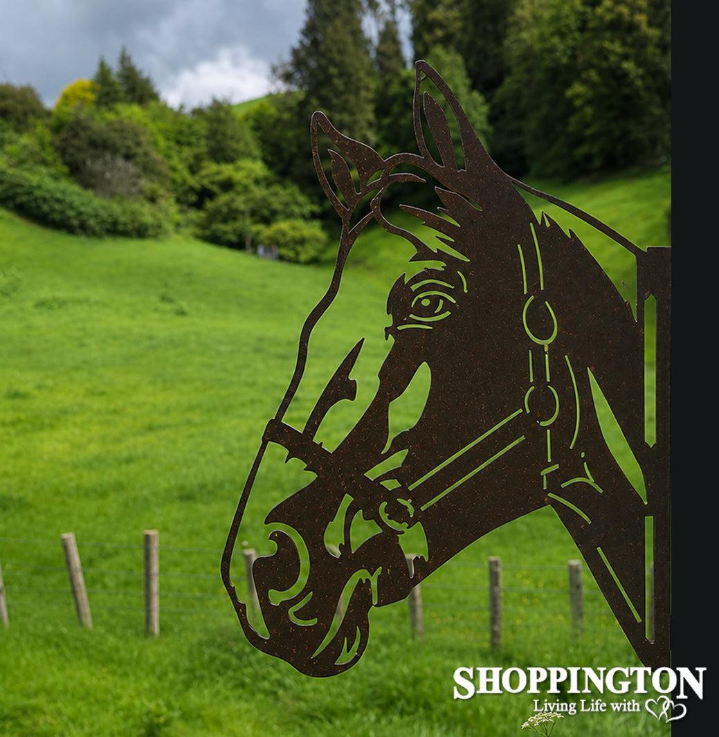 Wall Art - Horse