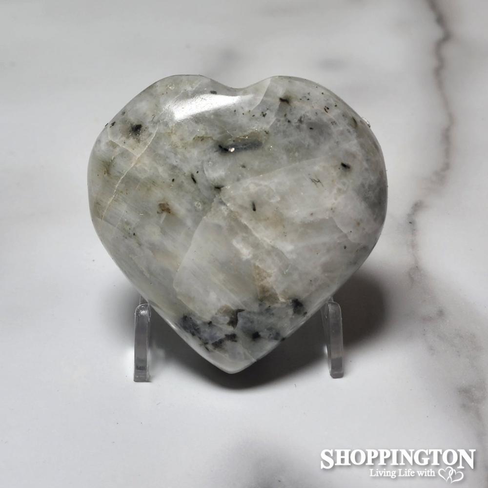Zebra Heart #1