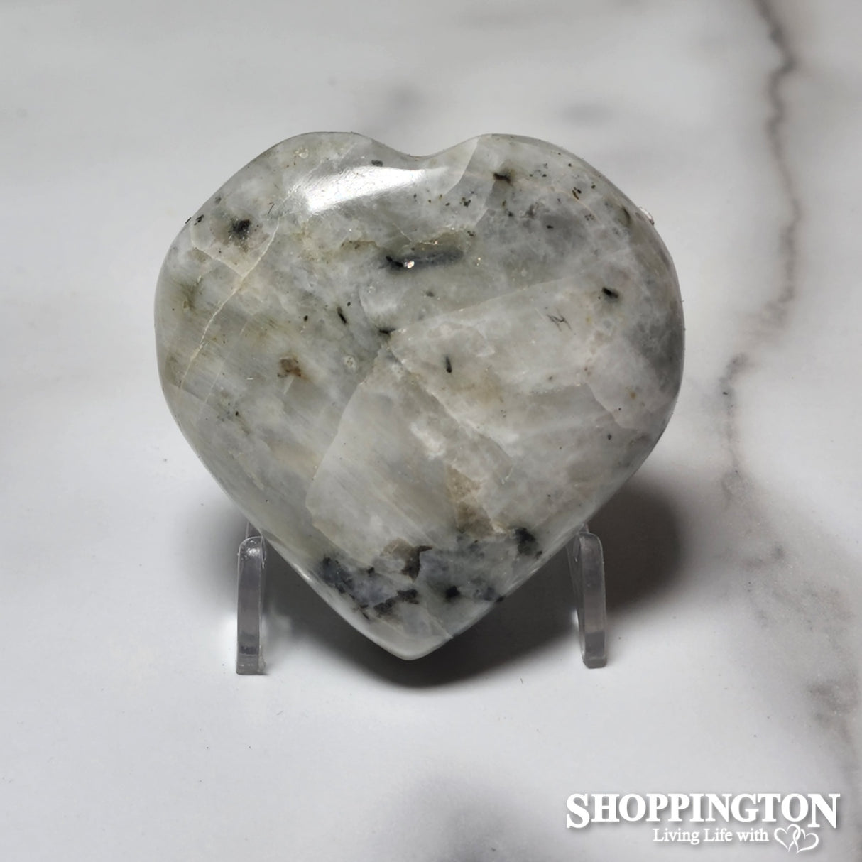 Zebra Heart #1