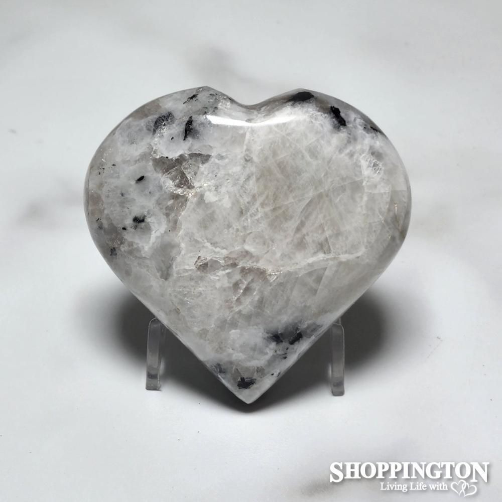 Zebra Heart #3