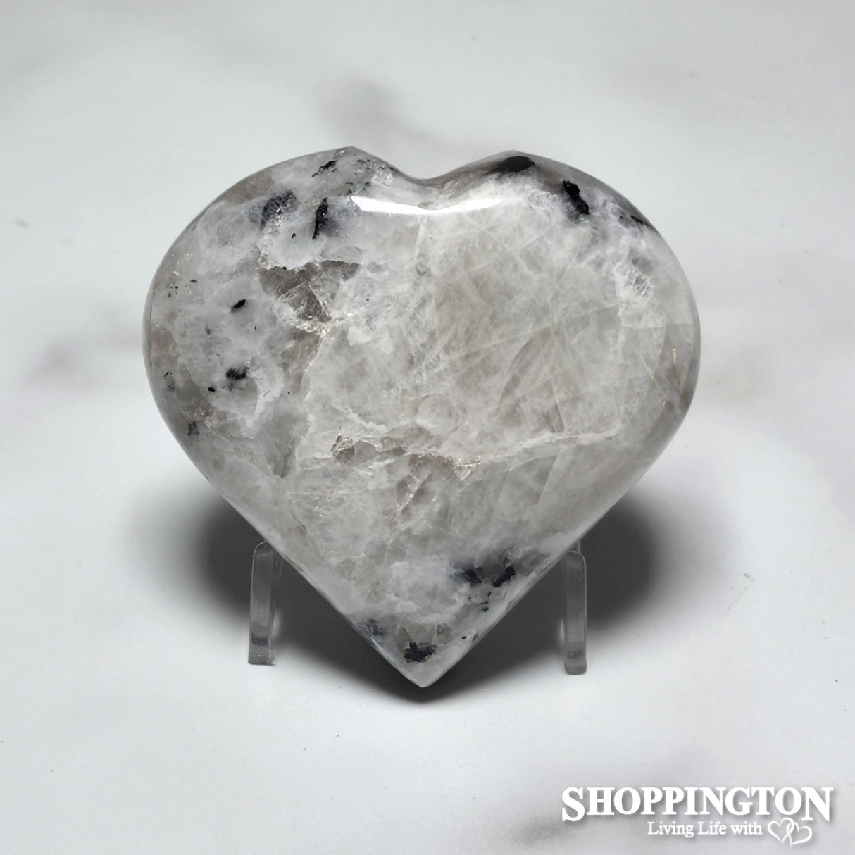 Zebra Heart #3