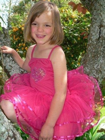 Fairy Dress-up / Hot Pink Tutu Dress