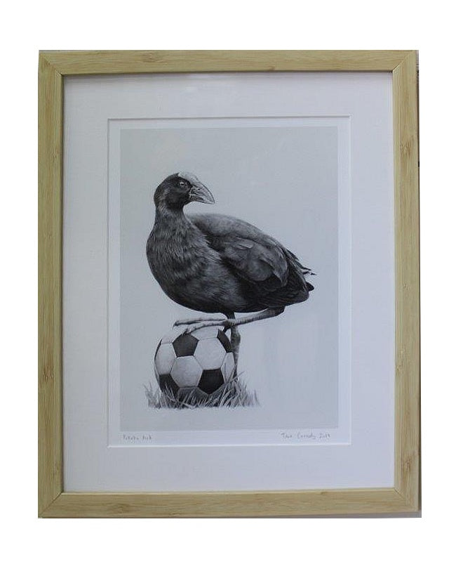 Tara Cassidy - Framed Print - Pukeko Kick