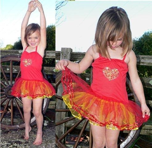 Fairy Dress-up / Tutu Fairy Dress