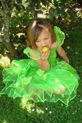 Fairy Dress-up / Lime Green Petal Dress