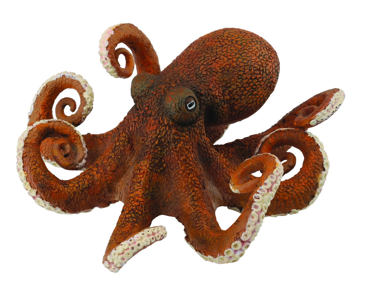 Collect A - Octopus