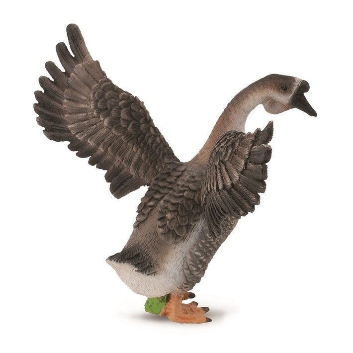 Collect A - Gander