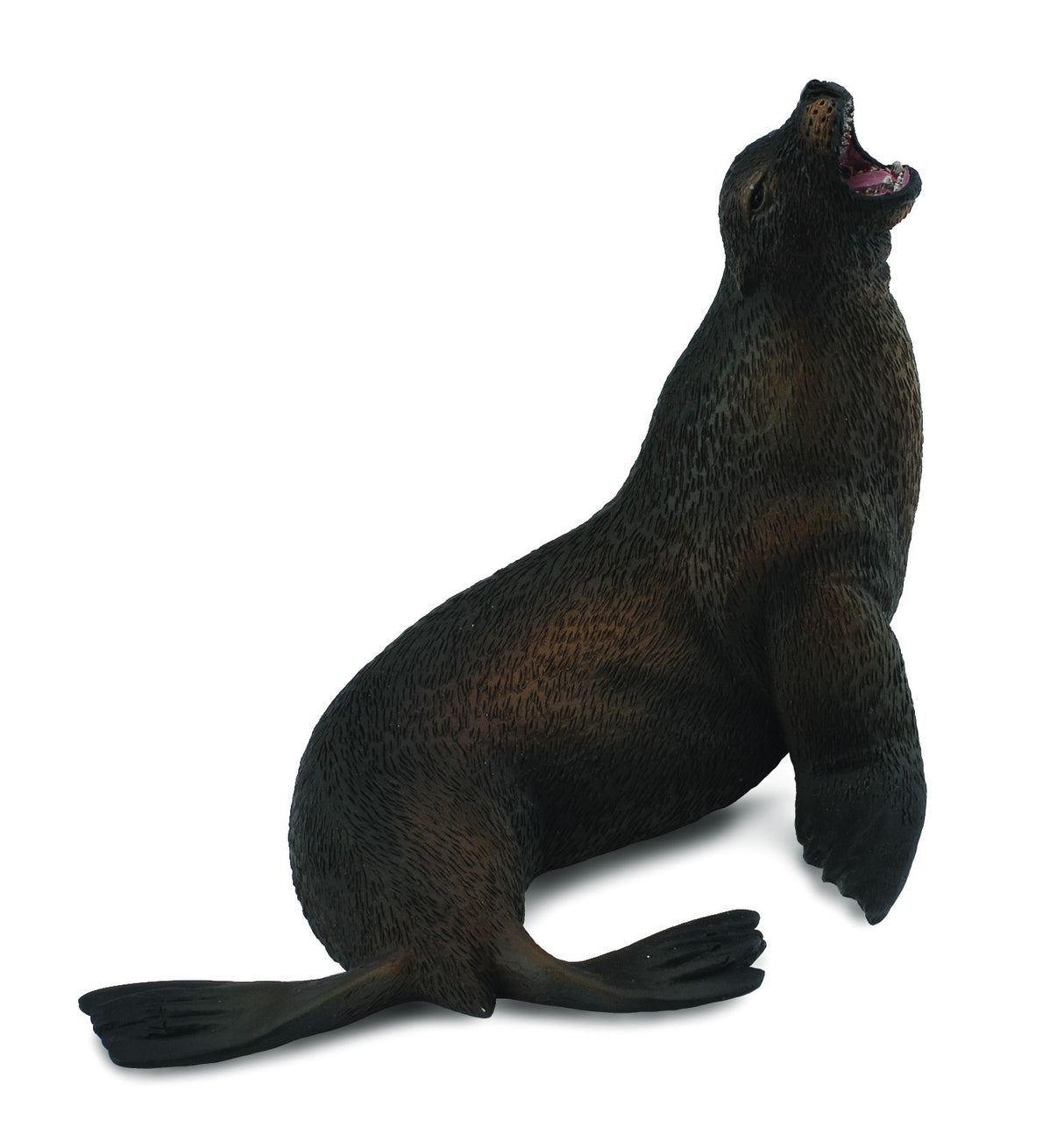 Collect A - Sea Lion