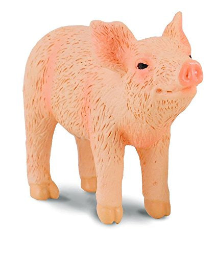 Collect A - Piglet (smelling)