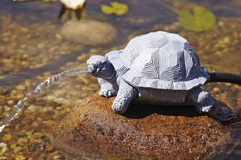 Concrete-look Turtle Fountain (excludes base + pump)