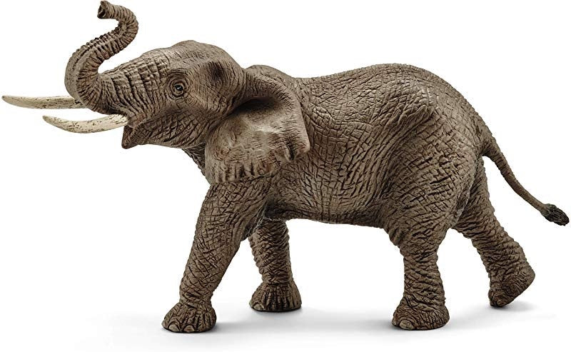 Schleich Collectables - Elephant Male