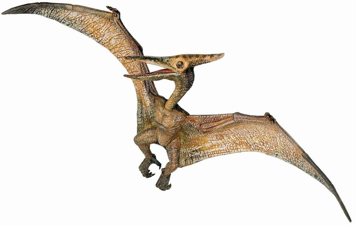 Papo Collection -Pteranodon
