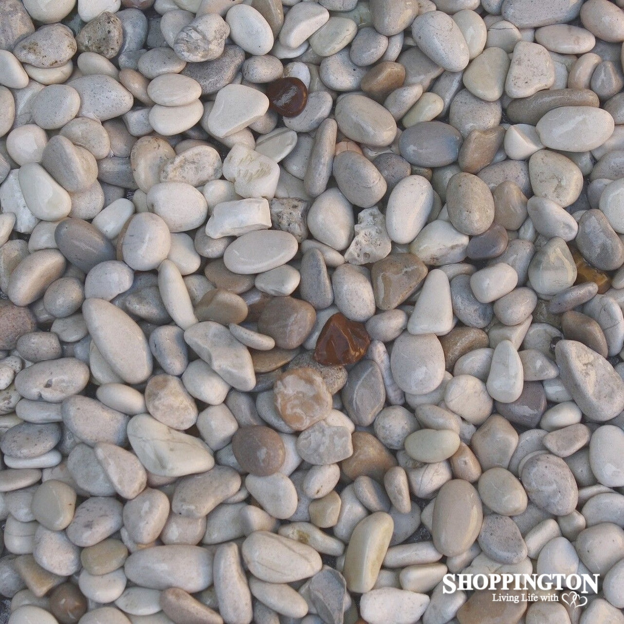 Landscape - Bag of Decorative Stones 10kg - Pastel Pebbles (small)